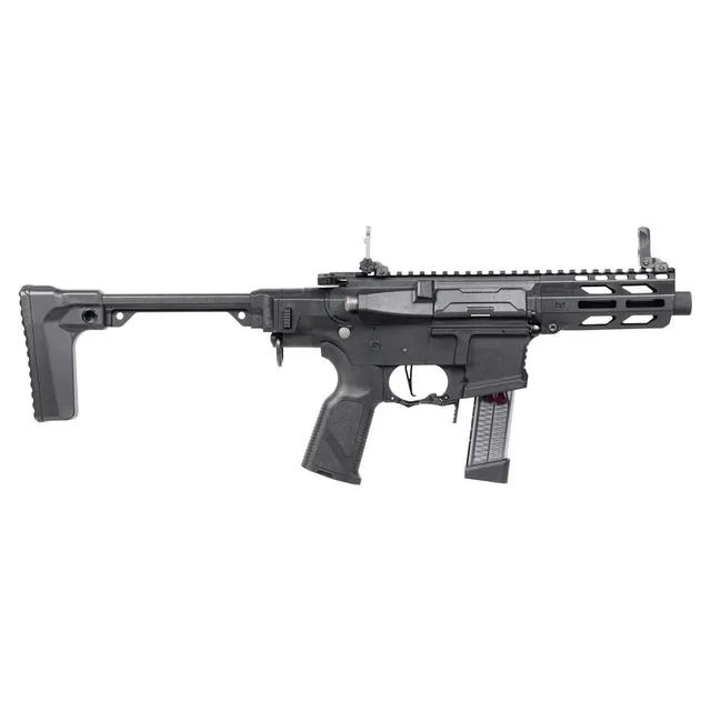 ARP9 3.0 P – G&G