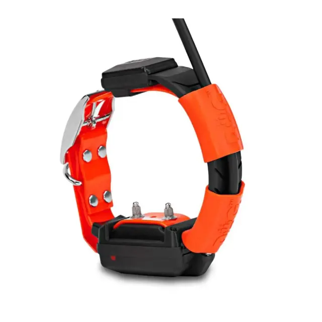 Collar adicional GPS X30-T